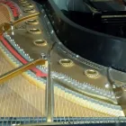 Business 12 image VANCOUVER PIANO TUNER Musical Instruments-Repair in North Vancouver BC