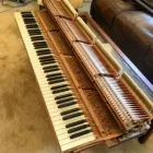 Business 5 image VANCOUVER PIANO TUNER Musical Instruments-Repair in North Vancouver BC