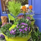Business 3 image VANDERFLEET FLOWERS Shopping in Etobicoke ON