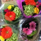Business 6 image VANDERFLEET FLOWERS Shopping in Etobicoke ON