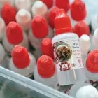 Business 8 image VAPOURS CANADA Vape Shops in Belleville ON