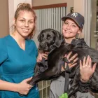 Business 7 image VEDDER MOUNTAIN VETERINARY Veterinarians in Chilliwack BC