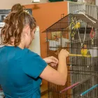 Business 21 image VEDDER MOUNTAIN VETERINARY Veterinarians in Chilliwack BC