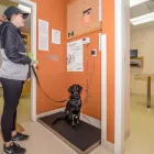 Business 23 image VEDDER MOUNTAIN VETERINARY Veterinarians in Chilliwack BC