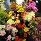 Business 3 image VERNON FLOWER SHOP 1977 LTD Shopping in Vernon BC