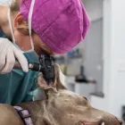 Business 14 image VERNON VETERINARY CLINIC Veterinarians in Vernon BC