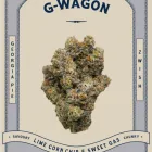 Business 4 image VICTORIA CANNABIS COMPANY Alternative Medicines in Victoria BC