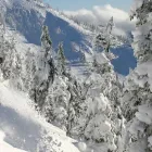 Entreprises 5 image VICTORIA CHAUFFEUR SERVICE travel & tourism dans Victoria BC