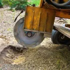 Entreprises 2 image VICTORIA TREE EXPERTS Tree Work & Forestry Services dans Victoria BC