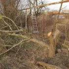 Entreprises 4 image VICTORIA TREE EXPERTS Tree Work & Forestry Services dans Victoria BC