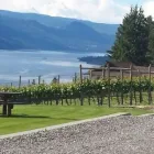 Business 2 image VINES & VIEWS WINE TOURS Travel Agents in Kelowna BC