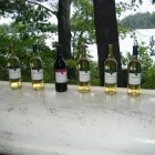 Business 9 image VINTNER'S CELLAR Winemaking & Brewing Equipment & Supplies in Bowmanville ON