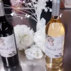Business 13 image VINTNER'S CELLAR Winemaking & Brewing Equipment & Supplies in Bowmanville ON