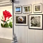 Business 19 image VISIONS GALLERY Museums & Art Galleries in Toronto ON