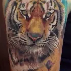 Entreprises 1 image WARRIOR INK TATTOO Tattoos & Body Piercing dans Markham ON