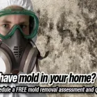 Business 2 image WATER DAMAGE TORONTO MOLD REMOVAL - EMERGENCY PLUMBER | GTA RESTORATION Real Estate & Home Improvement in North York ON