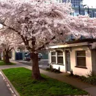 Business 2 image WAYPOINT COUNSELLING NETWORK Mental Health Clinics & Services in Victoria BC