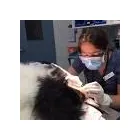 Entreprises 1 image WELLESLEY ANIMAL HOSPITAL Veterinarians dans Toronto ON