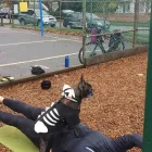 Business 6 image WEST COAST PERSONAL TRAINER Sports & Recreation in Vancouver BC