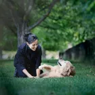 Business 1 image WESTBANK ANIMAL CARE HOSPITAL Veterinarians in Westbank BC