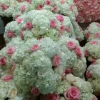 Business 5 image WESTDALE FLORIST Shopping in Hamilton ON