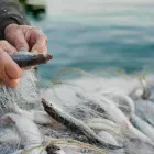 Entreprises 1 image WESTEC EQUIPMENT INTERNATIONAL LTD Machine Shops dans North Vancouver BC