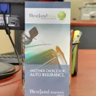Entreprises 12 image WESTLAND INSURANCE Legal & Financial Services dans Langley City BC