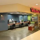 Business 15 image WESTLAND INSURANCE Legal & Financial Services in Vancouver BC