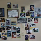 Business 14 image WESTLAND INSURANCE Legal & Financial Services in Victoria BC