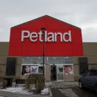 Business 7 image WESTSTAR WALL SYSTEMS LTD Real Estate & Home Improvement in Calgary AB