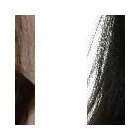 Business 5 image WHISTLER ORTHODONTIC CENTER Orthodontists in Whistler BC