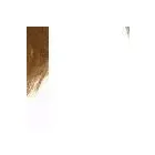 Business 8 image WHISTLER ORTHODONTIC CENTER Orthodontists in Whistler BC