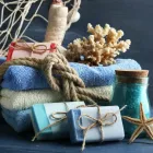 Entreprises 4 image WHISTLER REVOLUTION CLEANING Steam Cleaning Services dans Whistler BC