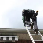 Business 6 image WILDSIDE WILDLIFE REMOVAL & PREVENTION LTD. Pest & Vermin Control in Burlington ON