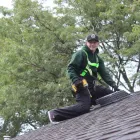 Business 1 image WILDSIDE WILDLIFE REMOVAL & PREVENTION LTD. Pest & Vermin Control in Burlington ON