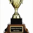 Entreprises 9 image WILSON TROPHY CO INC Shopping dans Mississauga ON