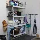 Business 13 image WINCHESTER KENNELS Business & Professional Services in Winchester ON