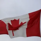 Business 22 image WINCHESTER KENNELS Business & Professional Services in Winchester ON