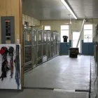 Business 31 image WINCHESTER KENNELS Business & Professional Services in Winchester ON