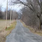 Business 32 image WINCHESTER KENNELS Business & Professional Services in Winchester ON