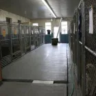 Business 41 image WINCHESTER KENNELS Business & Professional Services in Winchester ON