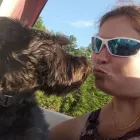 Business 4 image WINCHESTER KENNELS Business & Professional Services in Winchester ON