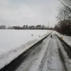 Business 7 image WINCHESTER KENNELS Business & Professional Services in Winchester ON