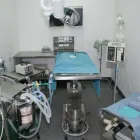 Entreprises 5 image WOODGROVE ANIMAL HOSPITAL Veterinarians dans Nanaimo BC