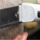 Entreprises 7 image WORK OF ART MEN'S HAIRSTYLING AND BARBERSHOP Beauty & Personal Care Services dans Oakville ON