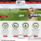 Business 4 image WSI COMANDIX Web Design & Development in Markham ON