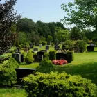 Entreprises 11 image YORK CEMETERY AND VISITATION CENTRE Community & Government dans North York ON
