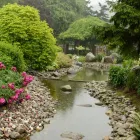 Entreprises 2 image YORK CEMETERY AND VISITATION CENTRE Community & Government dans North York ON