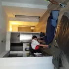 Entreprises 1 image ZEBRA MOVERS RICHMOND HILL Moving & Relocation Services dans Richmond Hill ON