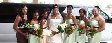 Business 7 image 2 SHALL BECOME 1 WEDDINGS Wedding Planners in Brampton ON